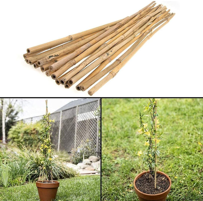 Premium Quality 3FT Bamboo Canes Sticks - Pack of 50 - Versatile, Eco-Friendly Garden Supplies