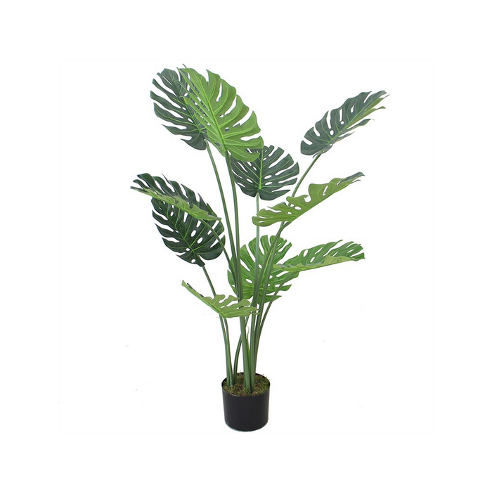 120cm (4ft) Luxury Monstera Plant Black Pot