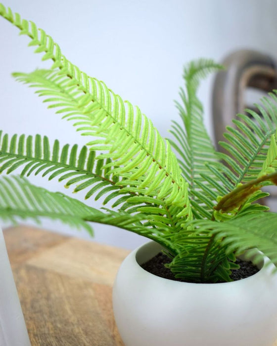 Artificial Boston Fern Potted Plant Green 17cm - Lifelike Indoor Decor - No Maintenance Required