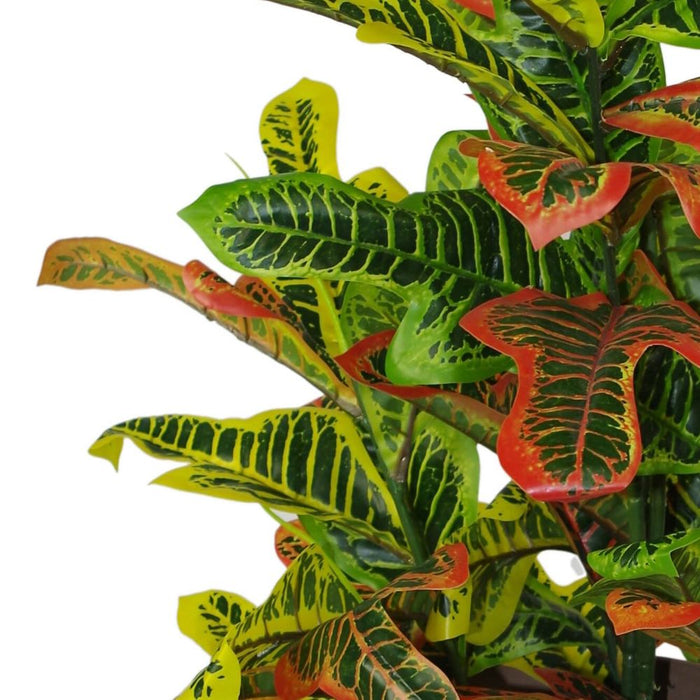 Premium 90cm Artificial Codiaeum Multicoloured House Plant - Large