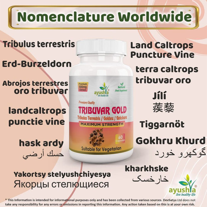 Premium Tribulus Terrestris Extract Capsules - High Quality and Trusted Source - Boost Performance Naturally