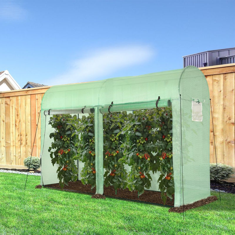 Plant Tomato Growth Greenhouse Double Doors & 4 Windows  3Lx1Wx2Hm