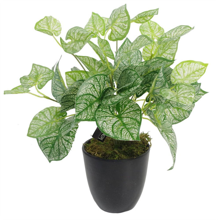 Premium 40cm Artificial Caladium Plant with Pot - Realistic and Luxurious