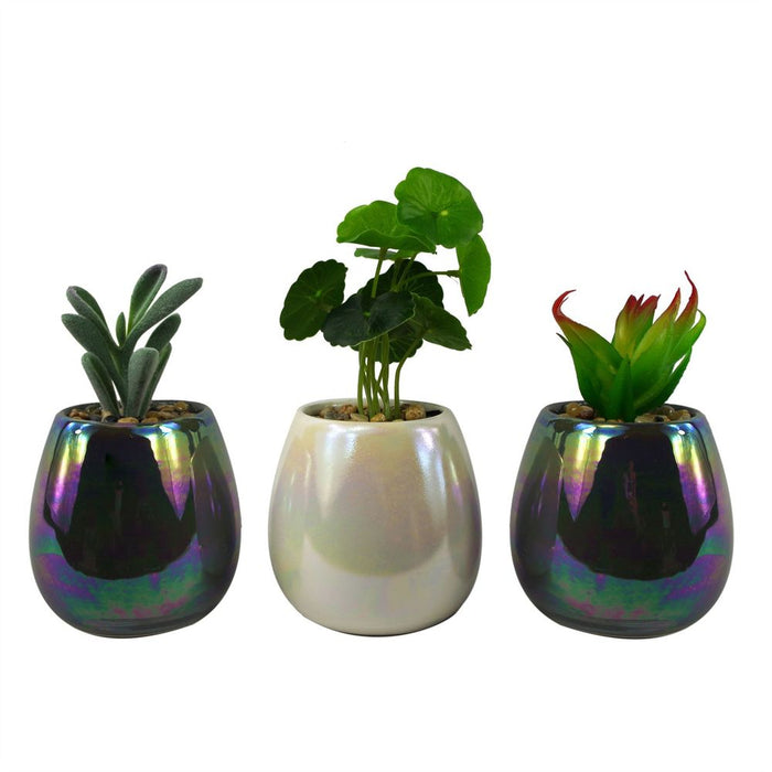 Premium 15cm Set of 3 Grey White Mix Ceramic Mini Planters + Artificial Succulent Plants