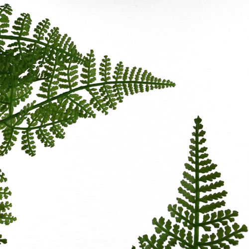 90cm Artificial Natural Moss Base Fern Foliage Plant