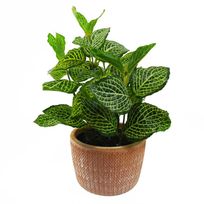 Realistic 22cm Mini Pothos in Terracotta Pot - High-Quality Artificial Foliage