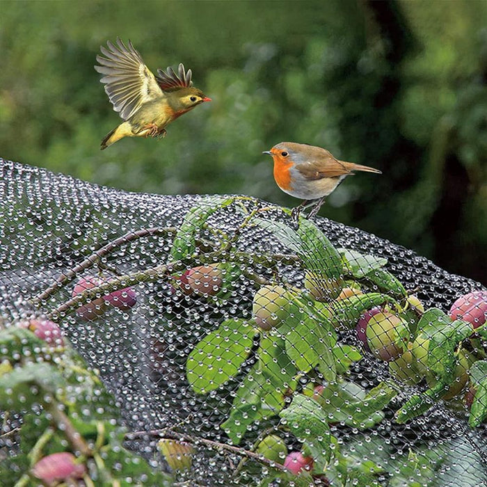 12 X GARDEN NETTING 2M X 10M - Anti Bird Pond Net Protect Plants Veg Crops Fruit Fine Mesh