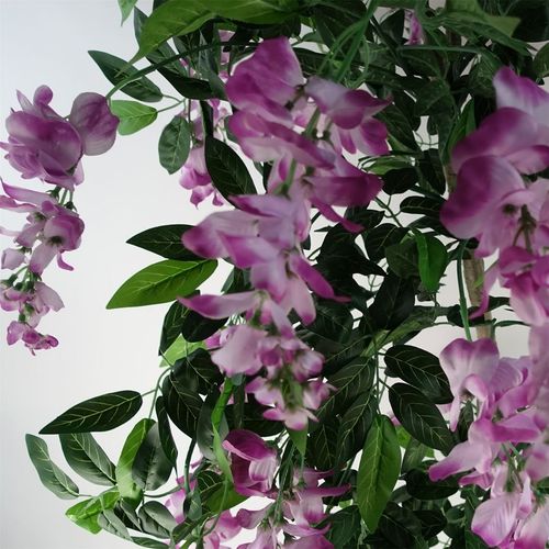 https://images.avasam.com/?url=https://avasamnew.s3.amazonaws.com/live/GB010188/S0671497839_14.webp&w=500