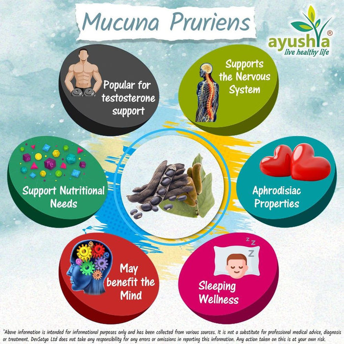 Premium Mucuna Pruriens Capsules - Highest Quality - Boost Immunity, Skin & Hair Health