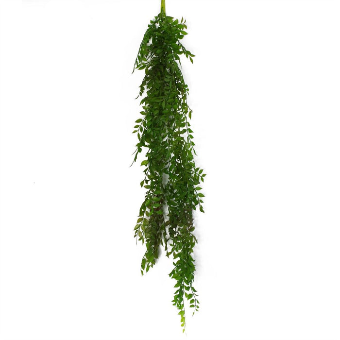 100cm Hanging String of Pearls Fern Plant