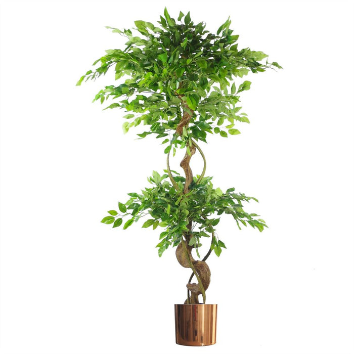 Premium 150cm Artificial Japanese Fruticosa Ficus Tree - Twisted Trunk - Copper Planter