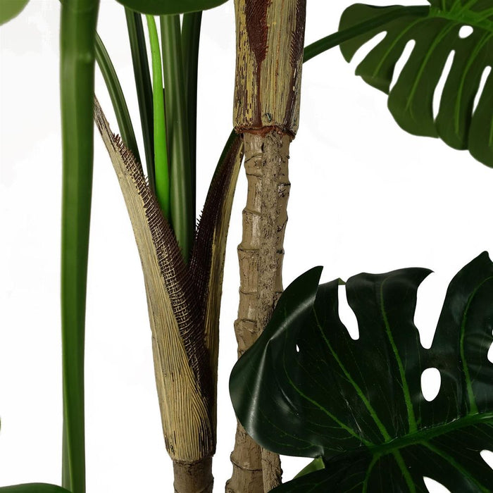 Luxury 150cm (5ft) Monstera Cheese Plant - Realistic, High Quality"
Description: "Experience the luxury of a realistic, high quality 150cm Monstera Cheese Plant. Comes potted in a sleek black pot. Perfect addition to any space.