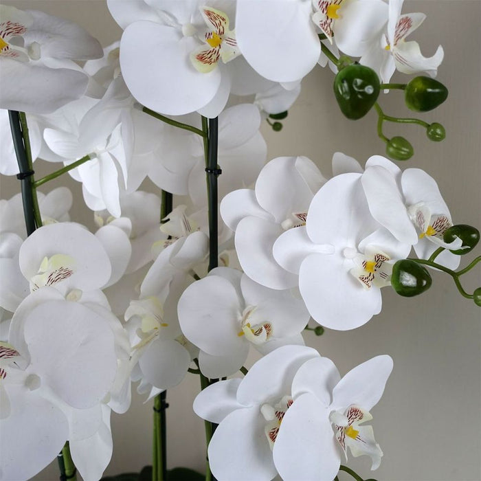 50cm Artificial Orchid with Glass Planter White