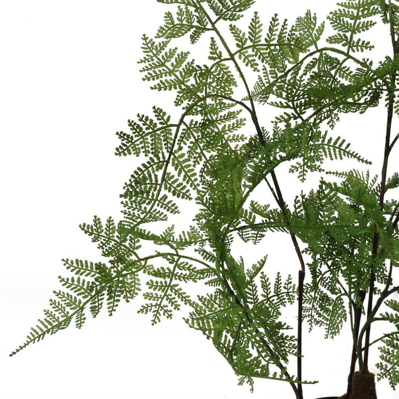 60cm Natural Moss Base Fern Foliage Plant: High-Quality, Lifelike, Captivating
