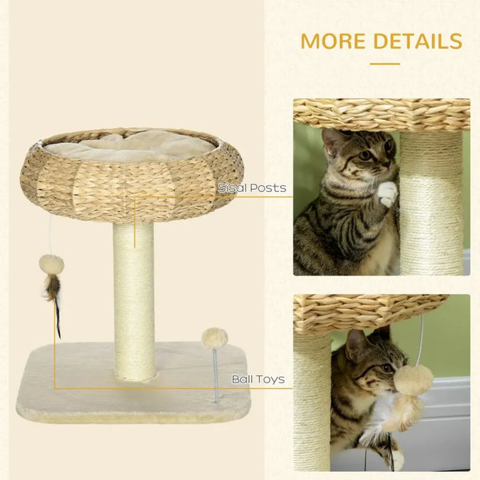 51cm Cat Tree Kitty Activity Centre | Top Bed, Toy Ball, Sisal Scratching Post | Premium Quality