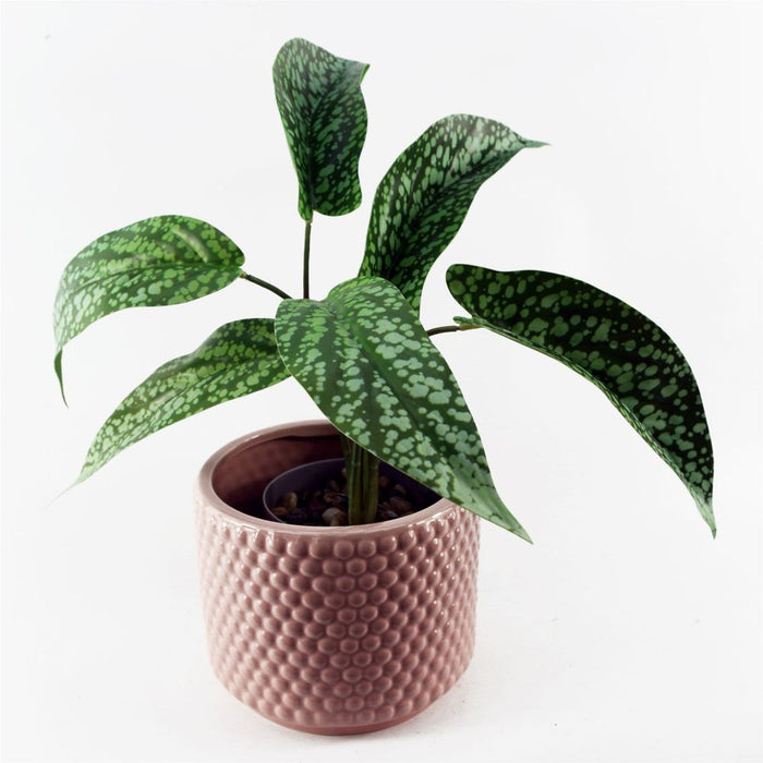 35cm Artificial Spotted Plant in Planter