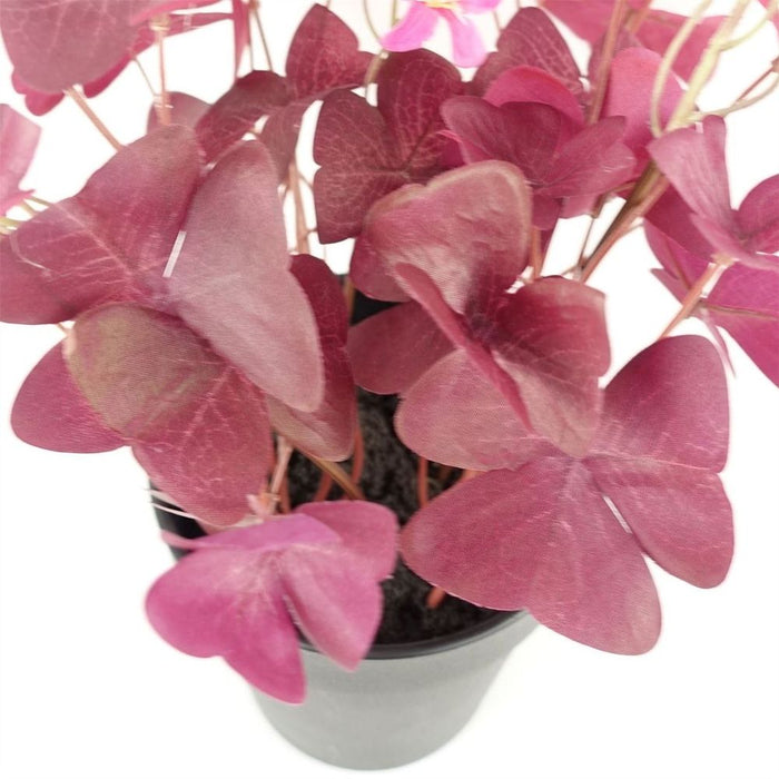 Realistic Purple Shamrock Pink Flowers Potted - High Quality Artificial Plant - 30cm Height