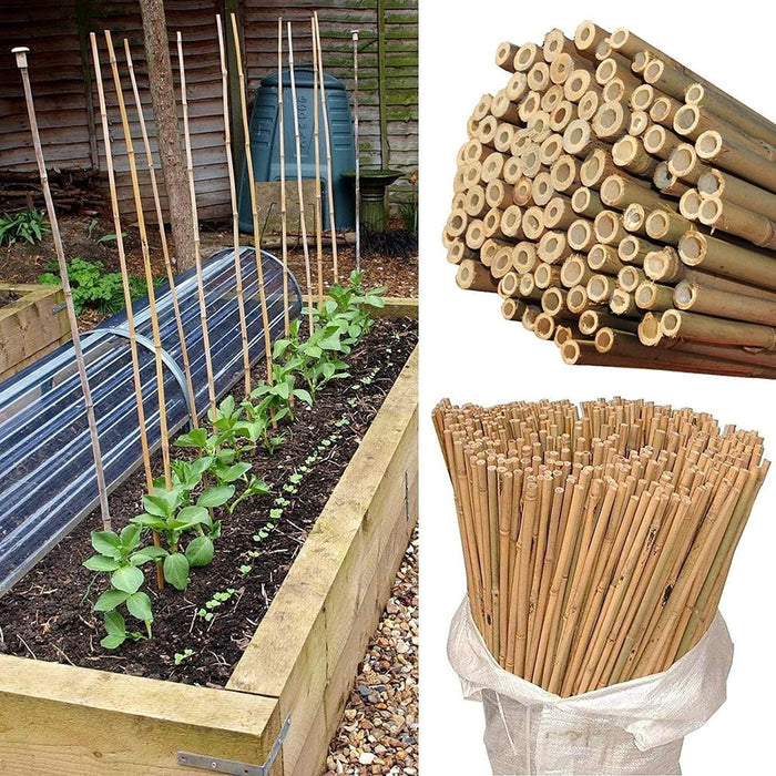 40-Pack 2ft (60cm) Bamboo Canes - Premium Quality Garden Decor