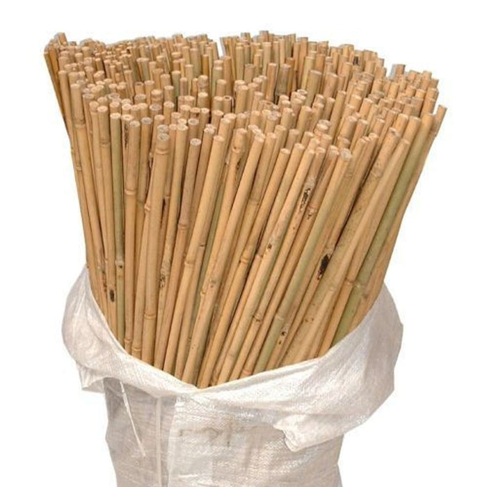 Bamboo Garden Canes - 10 x 6FT (180cm), Quality & Eco-Friendly