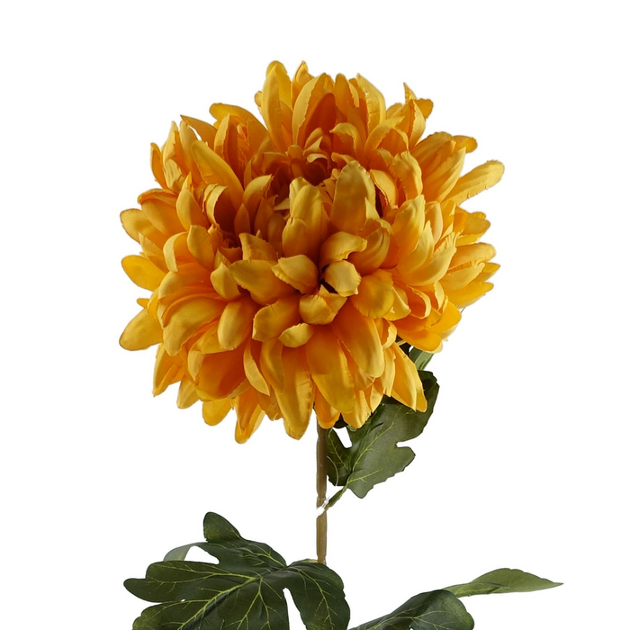 Pack of 6 x 75cm Extra Large Reflex Chrysanthemum - Gold