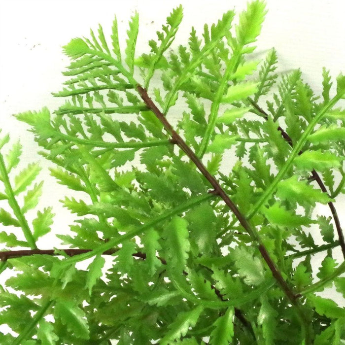 Premium 30cm Artificial Southern Wood Fern - Realistic Leaf Design - High Quality - Fast Shipping