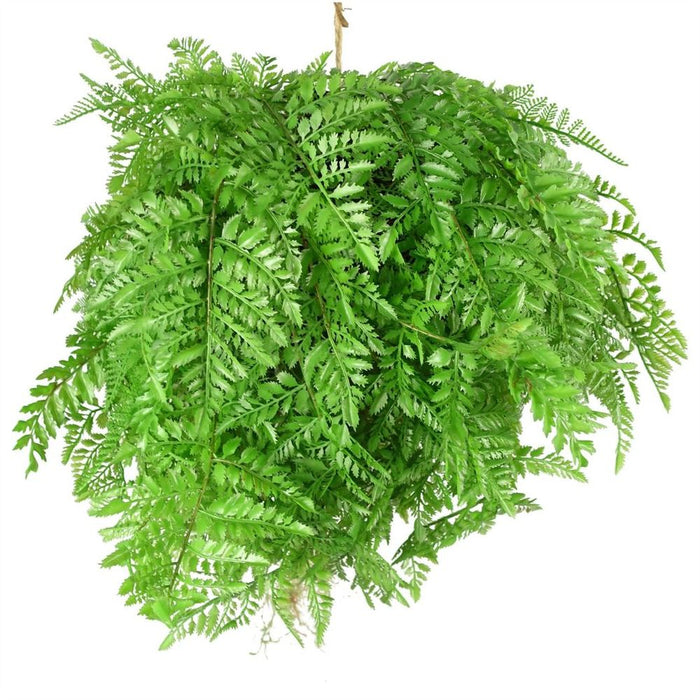 Extra Large 110cm Artificial Hanging Fern Ball - High-Quality Décor