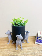 https://images.avasam.com/?url=https://avasamnew.s3.amazonaws.com/live/GB010082/S0671124584_14.jpg&w=500
