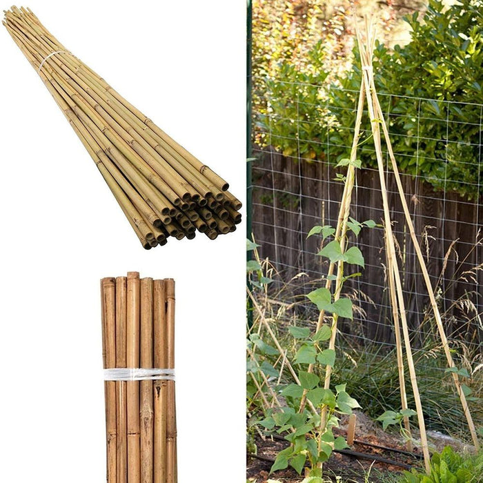 60 x 3FT Bamboo Canes Sticks 90CM