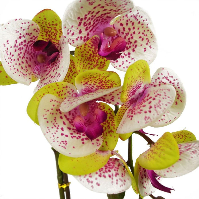 Premium Quality 46cm Artificial Orchid in Harlequin Pink - Silver Pot