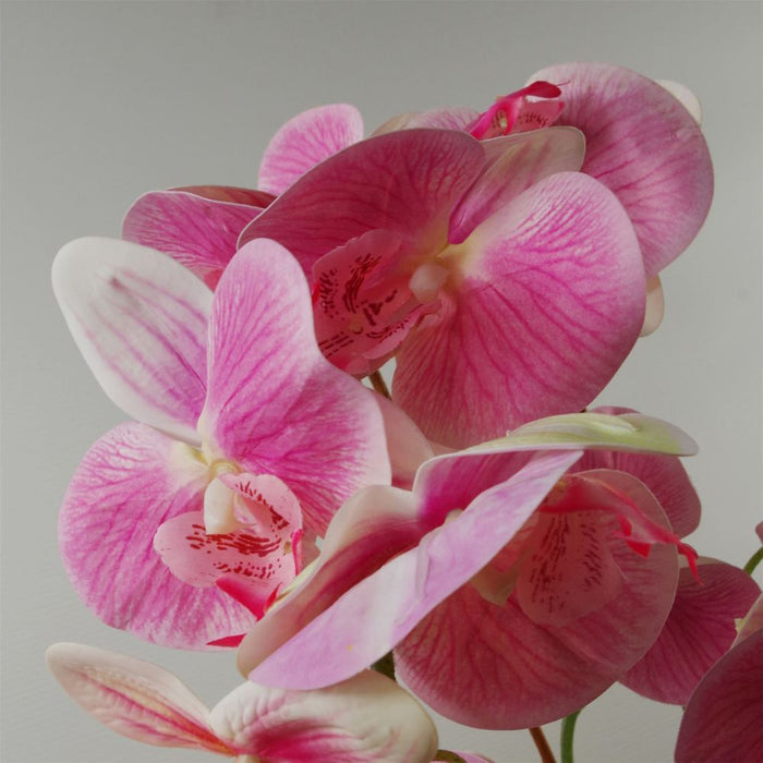 70cm Artificial Orchid Light Pink with Silver Ceramic Planter