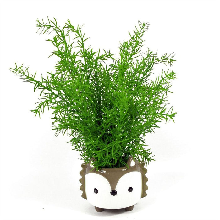 45cm Artificial Asparagus Fern Plant - Lifelike Greenery for Your Space