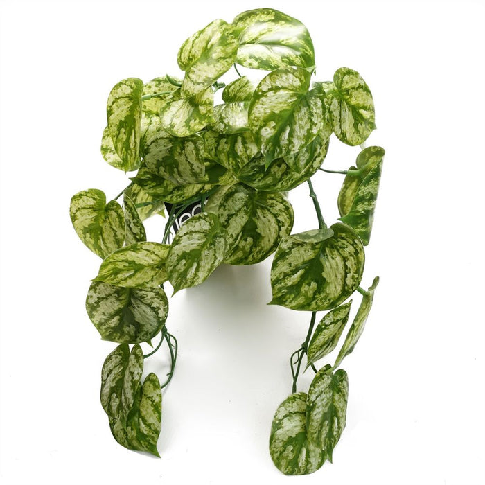 Premium 35cm Artificial Trailing Green Plant - Realistic and Versatile - High-Quality Materials