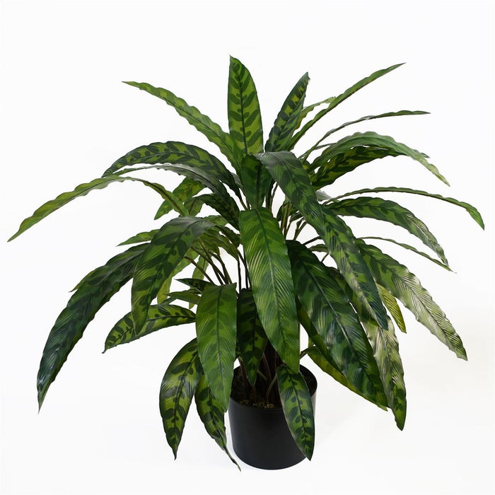 High-Quality 60cm Variegated Artificial Calathea Plant