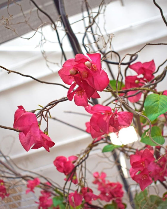 Vibrant Fuchsia 110cm Artificial Bougainvillea Vine - Lifelike Décor