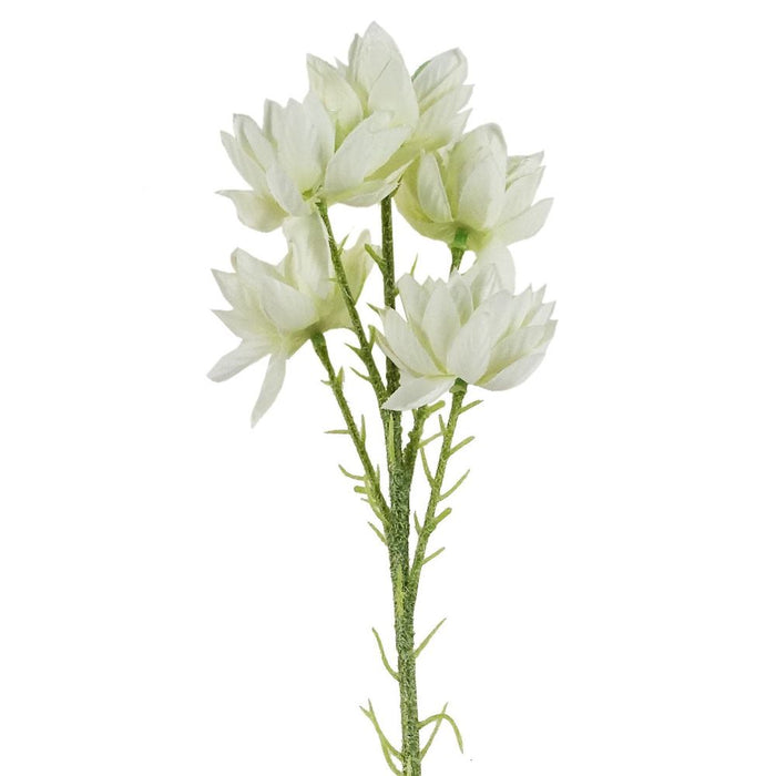 Premium Quality Natural Silk Starflower Stem 6-Pack - 30 Blooms - Beautiful Decorative Flowers