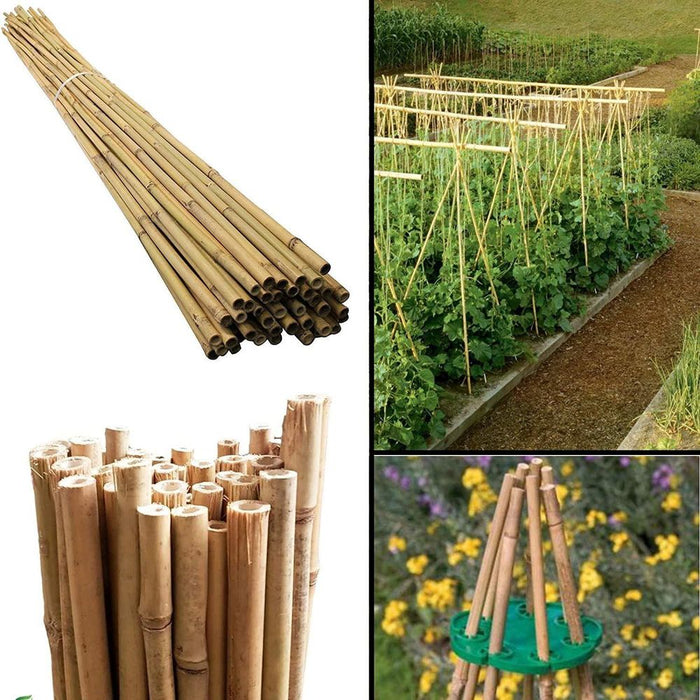 Premium 2ft Bamboo Canes - Eco-Friendly & Versatile Garden Essential