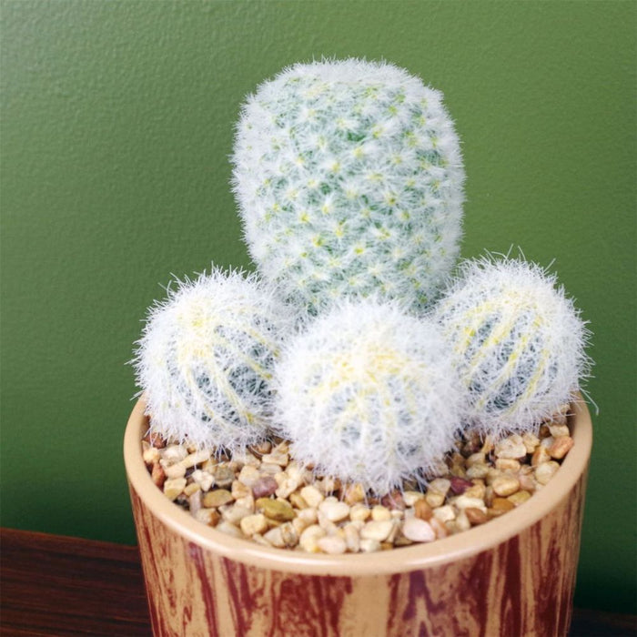 20cm Artificial Cactus Plant in Ceramic Planter