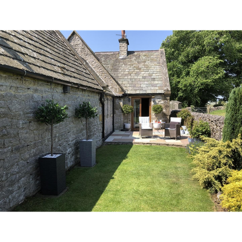 120cm (4ft) Plain Natural Trunk Artificial Topiary Bay Laurel Ball Tree