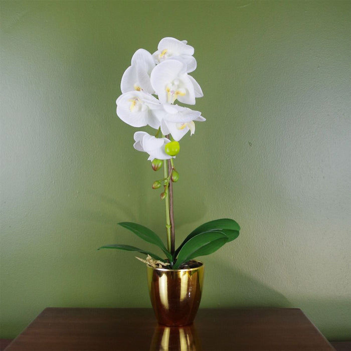 Realistic 46cm Artificial Orchid White / Gold - High-Quality, Real Touch Leaves + Pot