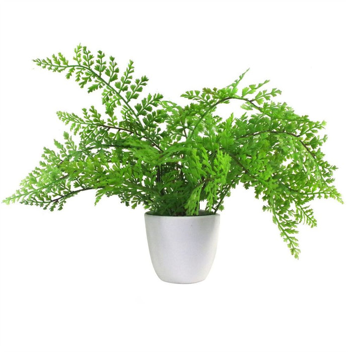 Premium 30cm Artificial Potted Royal Fern - Realistic & High-Quality Indoor Plant