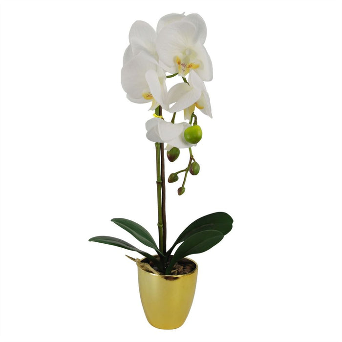 46cm Artificial Orchid White / Gold