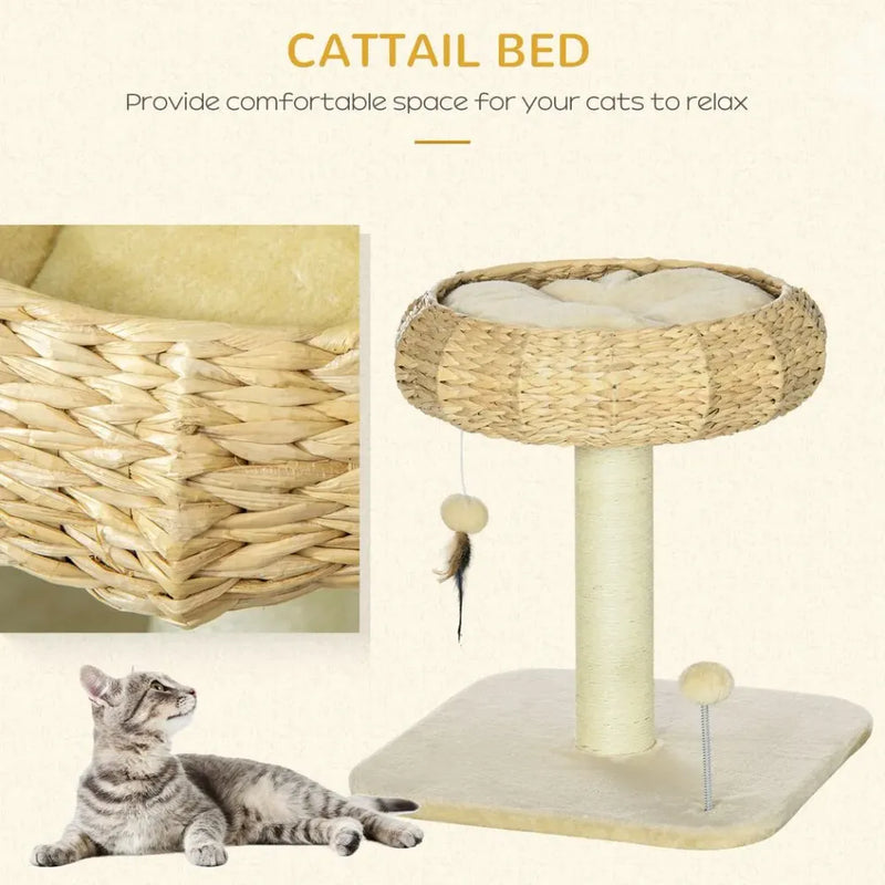 51cm Cat Tree Kitty Activity Centre | Top Bed, Toy Ball, Sisal Scratching Post | Premium Quality