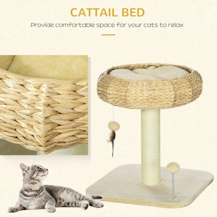 51cm Cat Tree Kitty Activity Centre | Top Bed, Toy Ball, Sisal Scratching Post | Premium Quality