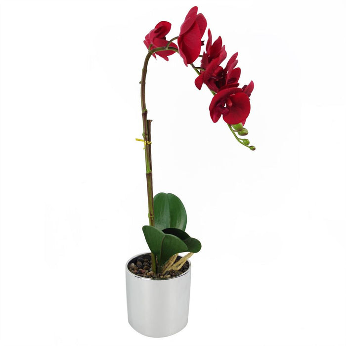 Premium Red Orchid: Realistic, Silver Pot