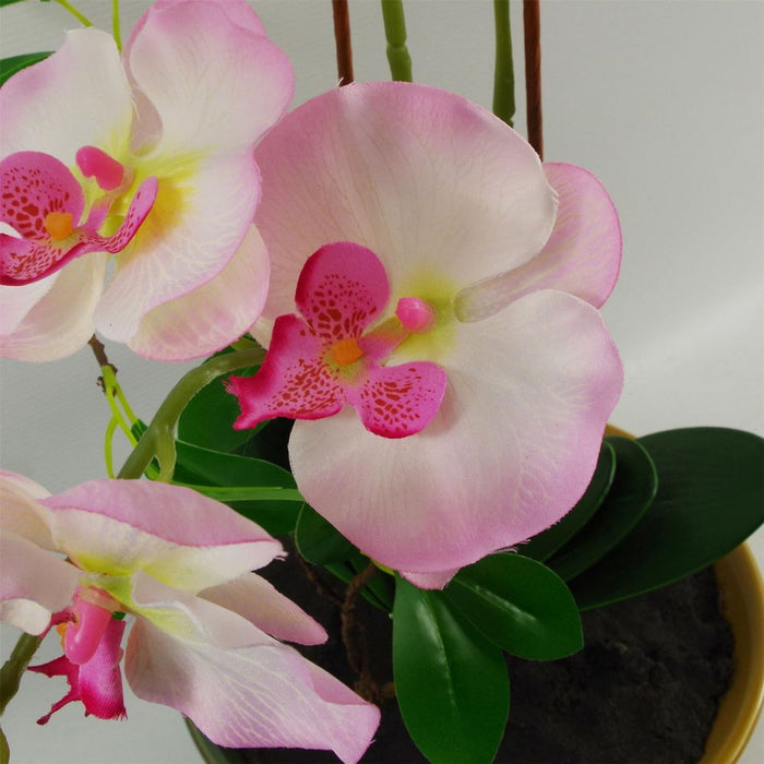 Captivating 65cm Artificial Orchid - Light Pink in Glazed Planter