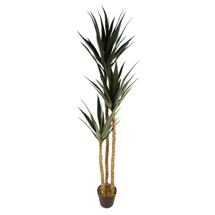 XL 170cm Artificial Triple Yukka Tree Plant - Realistic, Spiky, High Quality