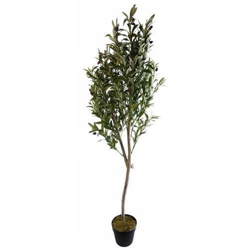 https://images.avasam.com/?url=https://avasamnew.s3.amazonaws.com/product/GB010188/S0671599758/main.png&w=500
