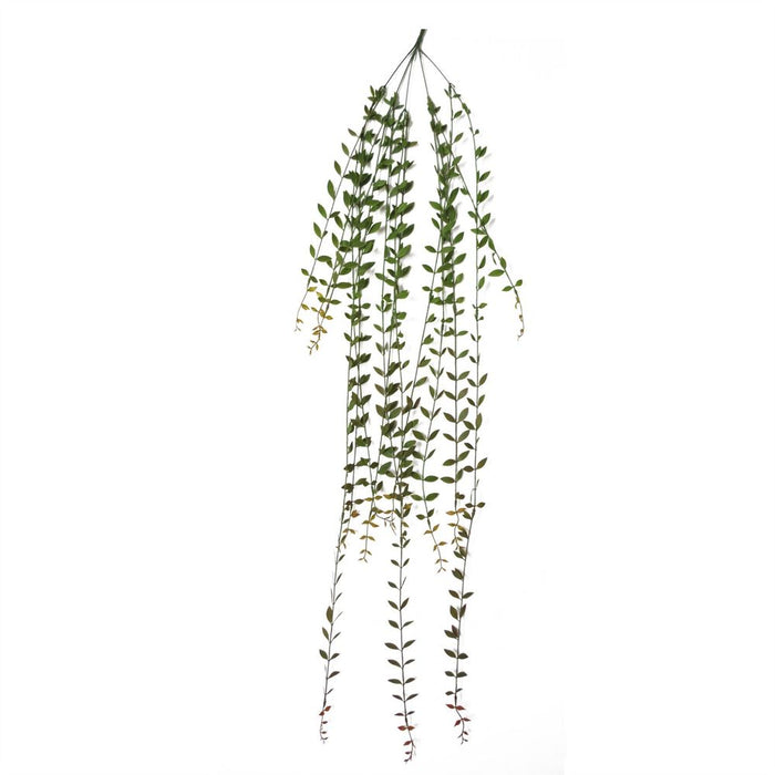 12 x 120cm Artificial Hanging String of Pearls - Pack of 12 Plants for Realistic Foliage Effect