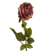 https://images.avasam.com/?url=https://avasamnew.s3.amazonaws.com/product/GB010188/S0671589498/3.png&w=500