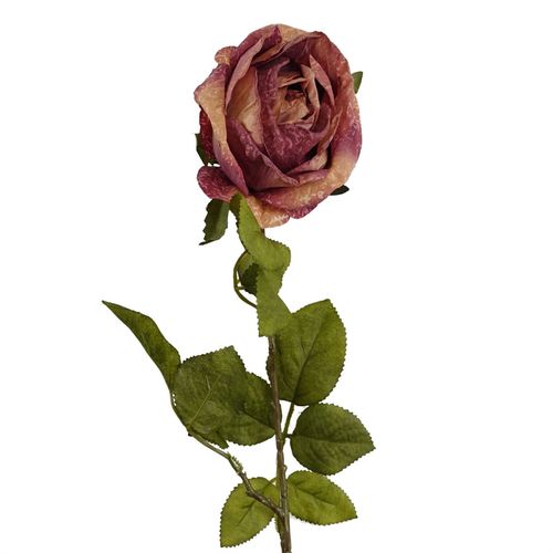 https://images.avasam.com/?url=https://avasamnew.s3.amazonaws.com/product/GB010188/S0671589498/3.png&w=500